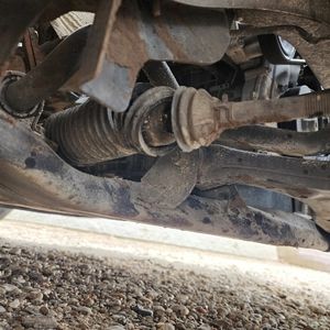 Rayman brown turtle patterned sunglasses